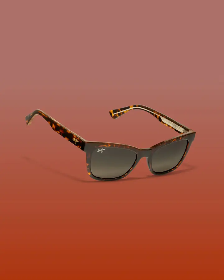 Lunettes de soleil ultra protectrice