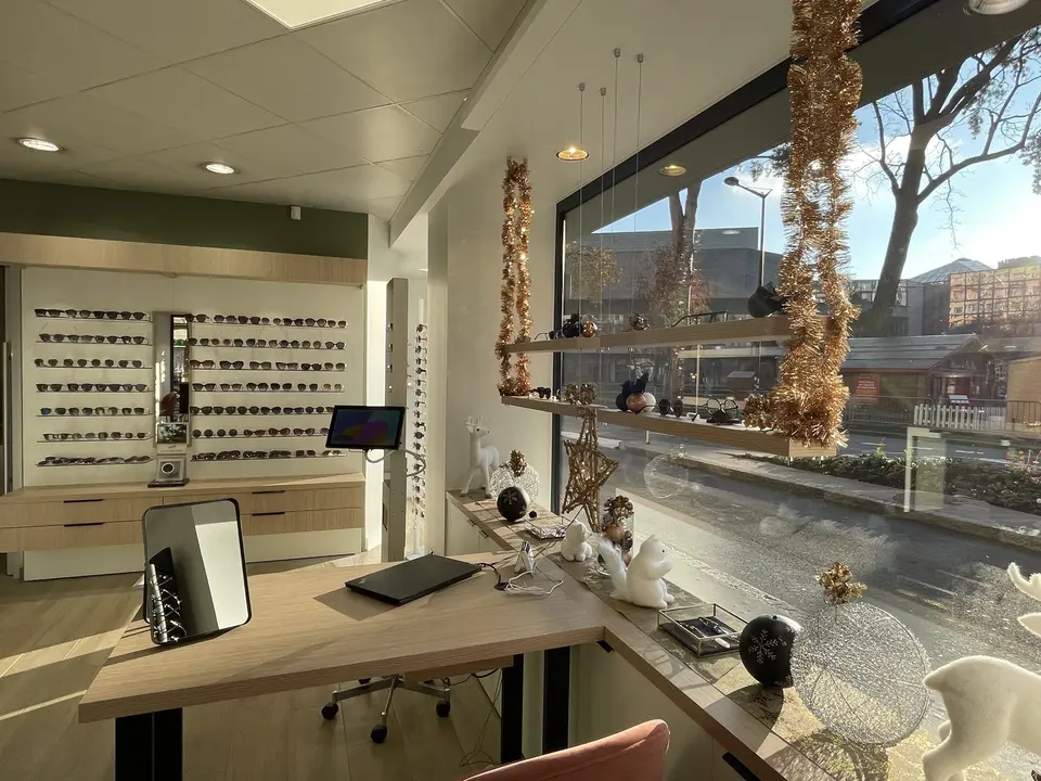 opticien annecy bvo