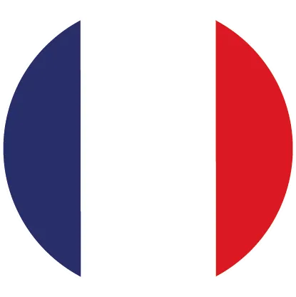 Icone drapeau français